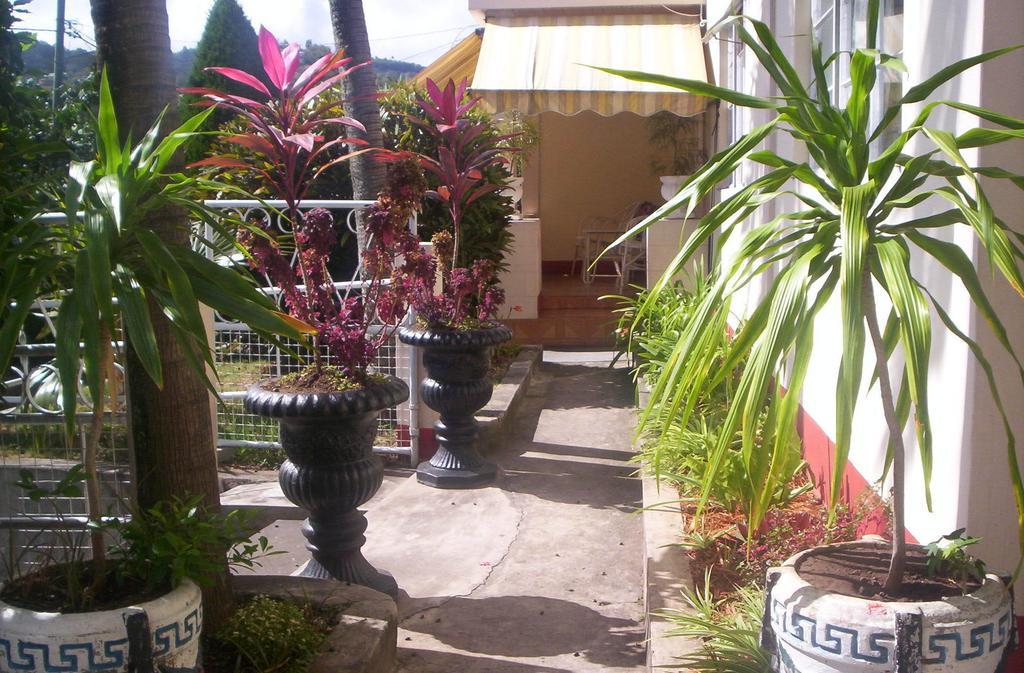 Villa Acajou Sur Mer Port Mathurin 外观 照片
